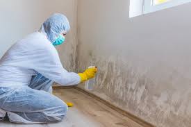 Best Mold Removal for HVAC Installations  in Hampton, IL